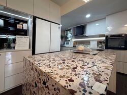 The Terrace (D19), Condominium #570082521